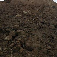 Растительный грунт с доставкой минск